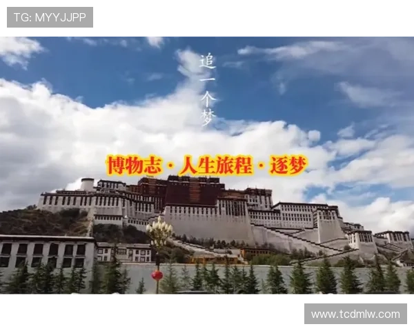 羽毛球场上的追梦旅程：吴娜的坚持与成长故事